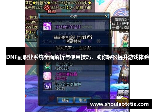 DNF副职业系统全面解析与使用技巧，助你轻松提升游戏体验